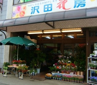 沢田花房　本店